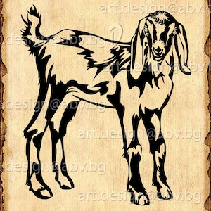 Vector NUBIAN GOAT, AI, png, eps, pdf, svg, dxf, jpg Instant Download, graphical image Art Print, animal, Digital image