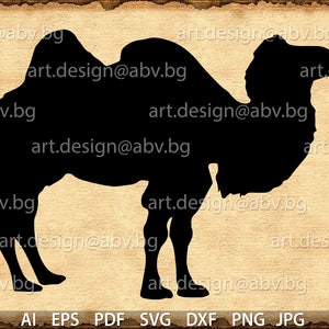 Vector CAMEL, Download, Digital image, graphical, AI, PNG, eps, pdf, svg, dxf, jpg, dhole, animal, discount coupons