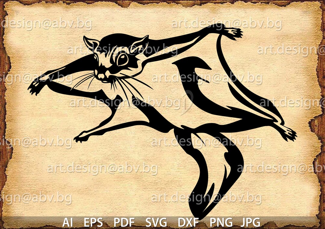 Stylized Flying Squirrel Vector Graphic (digital Download) - Etsy
