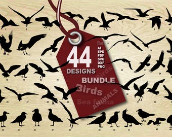 Seagull Vector Bundle: 44 Larus Bird Designs (Digital Download)