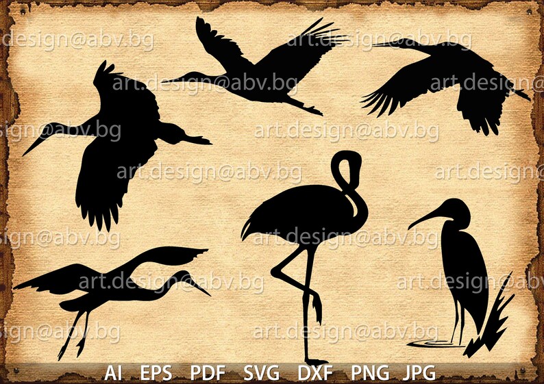 Download Vector BIRDS AI eps pdf svg dxf png jpg files Download | Etsy