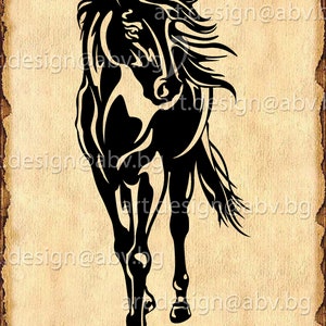 VECTOR HORSE, AI, eps, pdf, svg, dxf, png, jpg Image Graphic Digital Download Artwork, graphical, discount coupons
