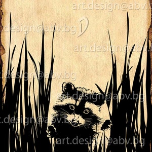 Vector RACCOON in the grass, AI, eps, png, pdf, SVG, dxf, jpg Download, Digital image, graphical image, discount coupons