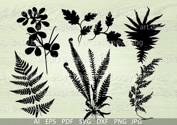 Farn Blatt Vektor Bundle: Botanische Grafik (Digitaler Download) - Etsy  sterreich