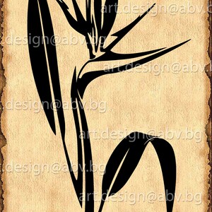 Vector STRELITZIA, AI, PNG, eps, pdf, svg, dxf, jpg Download files, Digital, graphical, flora, discount coupons
