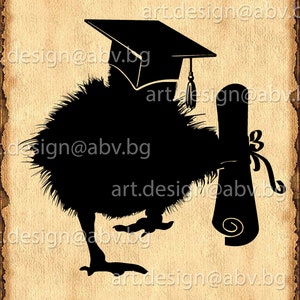 Vector GRADUATION, AI, eps, pdf, svg, dxf, png, jpg Download files, Digital, graphical, discount coupons