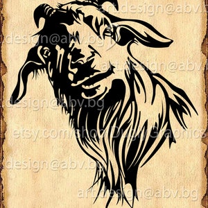 Vector GOAT head, AI, PNG, eps, pdf, svg, dxf, jpg Instant Download, graphical image Art Print, animal, Digital image