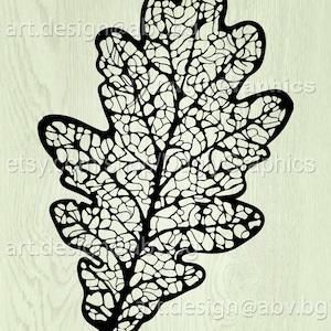 May include: Black and white intricate design of an oak leaf. The leaf is detailed with a network of veins and a textured surface.