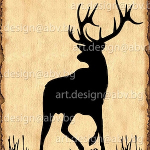 Vector DEER, AI, PNG, pdf, eps, svg, dxf, jpg Download, Digital, graphical, discount coupons