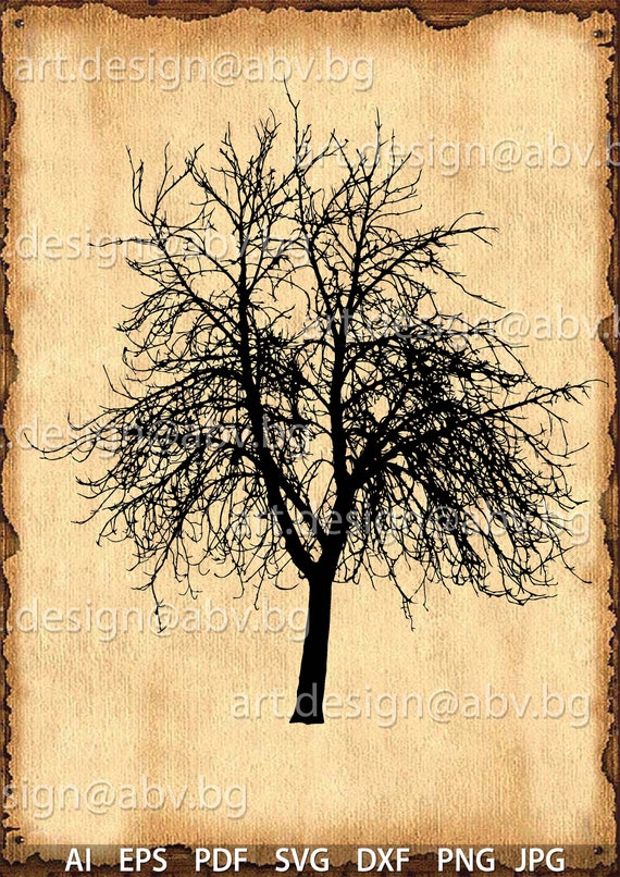 Free Winter Tree Vector - Download in Illustrator, EPS, SVG, JPG, PNG