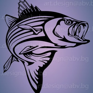 Striper Fish Drawing 