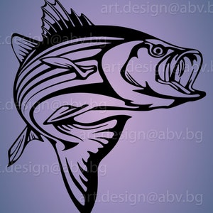 Striped Bass Vector Art: Fish Graphic (Digital Download)