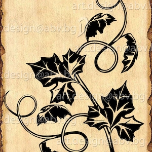 May include: Black and white silhouette of a vine with leaves. The vine is curled and twisted, and the leaves are detailed and realistic.