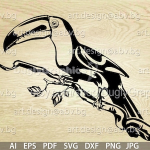Vector TOUCAN, AI, PNG, eps, pdf, svg, dxf, jpg downloaden, digitaal beeld, grafisch, dier, enorme snavelvogel