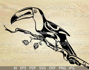 Toucan Vector Graphic: Tropical Bird Image (Digital Download)