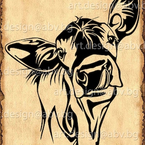 Vector COW, calf, head, AI, PNG, eps, pdf, svg, dxf, jpg Instant Download, graphical image Art Print, muzzle, tongue, Digital image