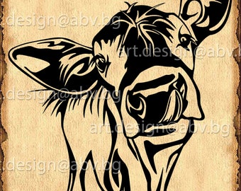 Vector COW, calf, head, AI, PNG, eps, pdf, svg, dxf, jpg Instant Download, graphical image Art Print, muzzle, tongue, Digital image