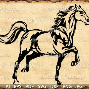 VECTOR HORSE, SVG, dxf, ai, eps, pdf, png, jpg Image Graphic Digital Download Artwork, graphical, discount coupons