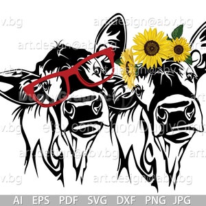 Vector 2 HEIFERS, for PRINTING, calf, head, AI, png, eps, pdf, svg, dxf, jpg Instant Download, svg cow, Digital image