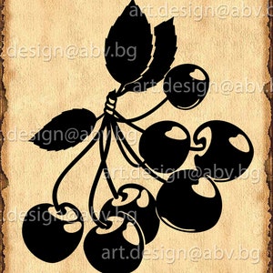 Puede incluir: Silueta de un racimo de cerezas negras con tallos y hojas. Las cerezas están dispuestas en un racimo, con algunas superpuestas.