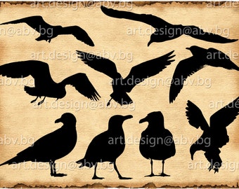Vector 9 SEAGULLS BUNDLE, Download, SVG, dxf, ai, pdf, eps, png, jpg, Saddleback, bird