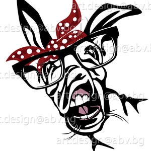 Vector DONKEY with bandana and sunglasses, 5 colors, head, AI, PNG, eps, pdf, svg, dxf, jpg Instant Download, Art Print, svg donkey