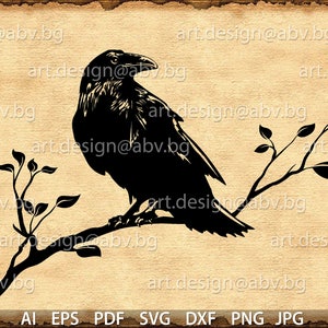 Vector BIRD, Raven, AI, eps, pdf, png, svg, dxf, jpg files Download, Digital image, graphical, animal bird, discount coupons