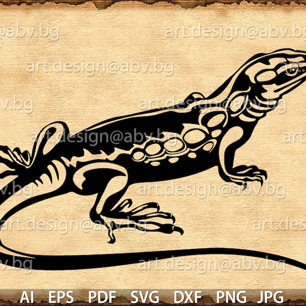 Vector LIZARD, GECKO, AI, eps, pdf, svg, dxf, png, jpg Download, Digital image, graphical, discount coupons