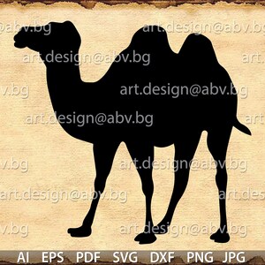 Vector CAMEL, Download, Digital image, graphical, AI, PNG, eps, pdf, svg, dxf, jpg, dhole, animal, discount coupons