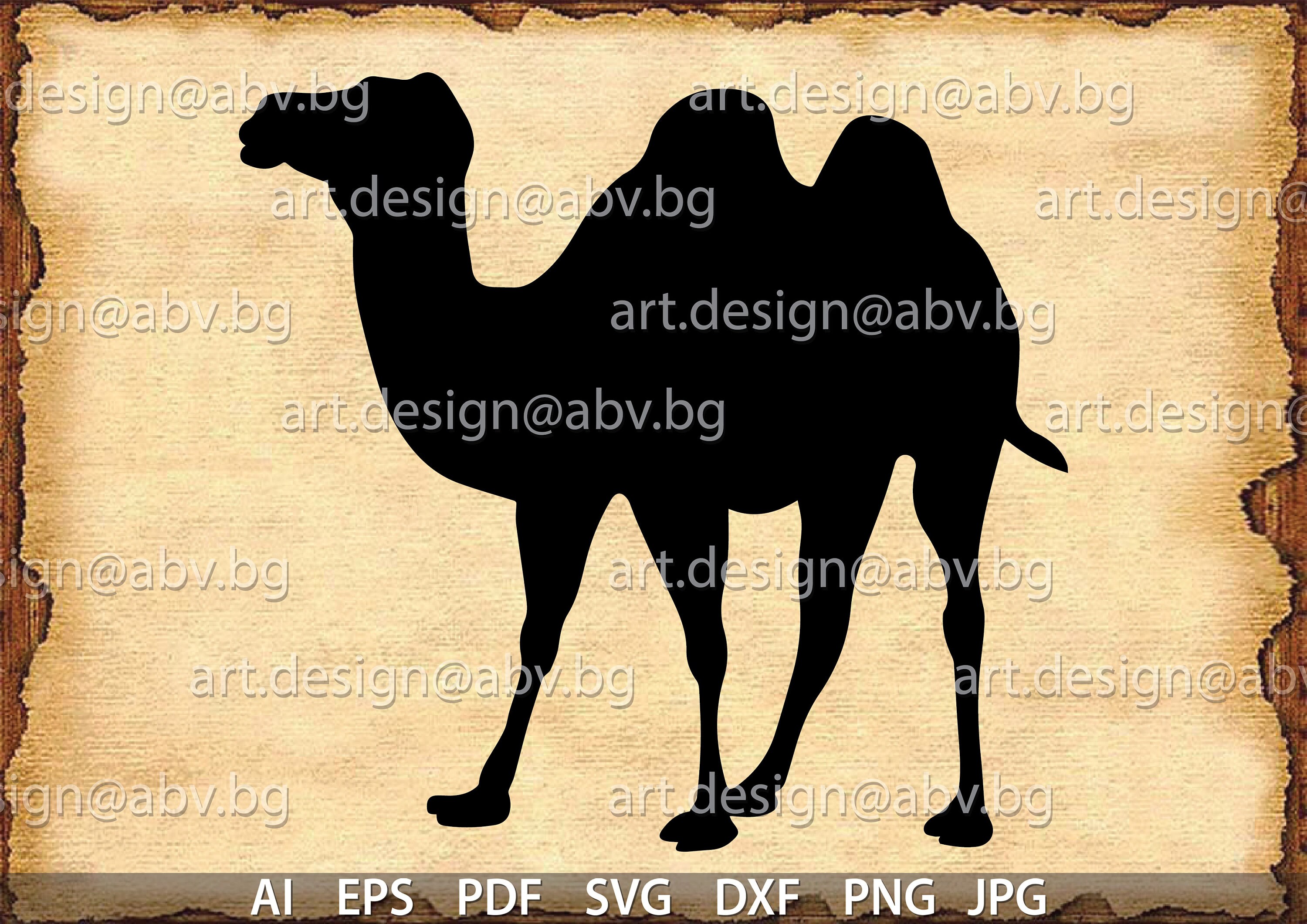 Good Camel Vector Camel Vector Graphic (ai, Eps, Pdf, Svg, Dxf, Png, Jpg) (digital ...