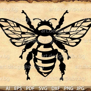 Vector BEE queen, ai, eps, pdf, SVG, DXF, png, jpg Download, Digital image, graphical, discount coupons