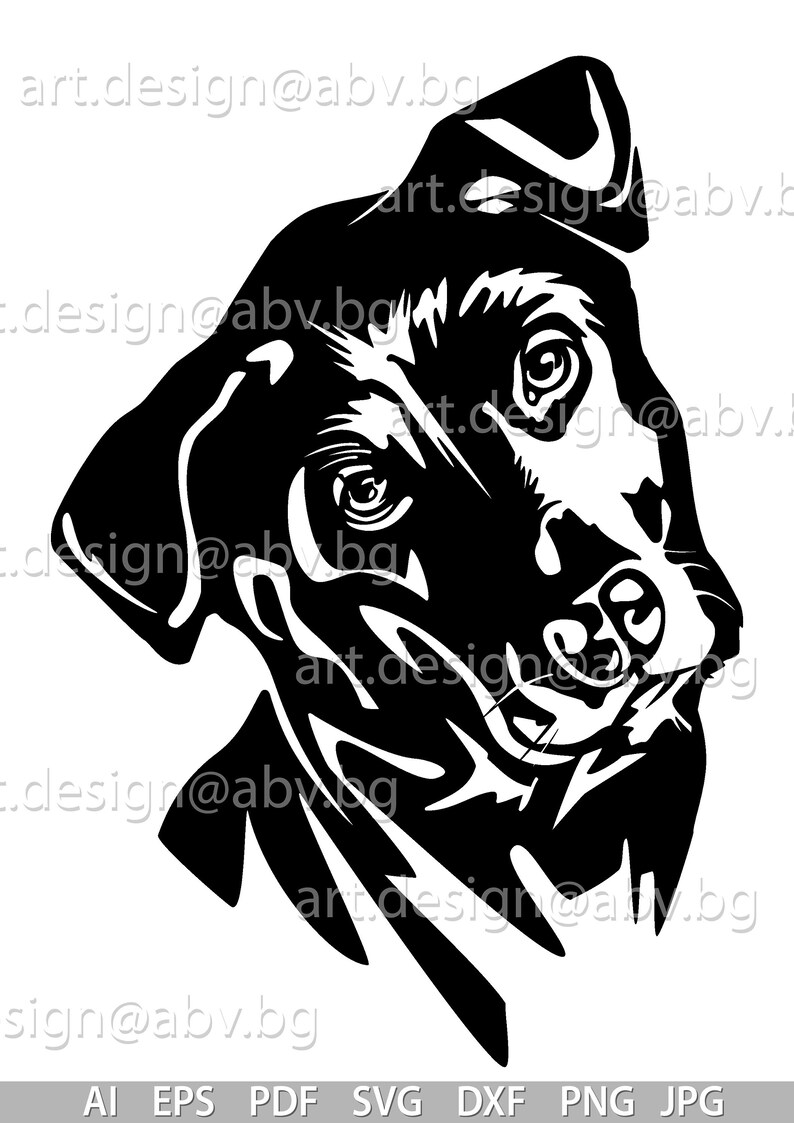 Pit Lab Dogs Vector Labrador Dog Vector, AI Eps Pdf Png, Digital Download - Etsy