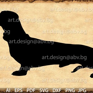 Vector Dog, dachshund, AI, eps, pdf, png, svg, DXF, jpg, Download, discount coupons