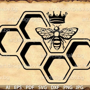 Vector BEE, beehive, queen, ai, eps, pdf, SVG, DXF, png, jpg Download, Digital image, graphical, discount coupons