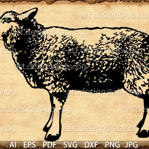 Vector SHEEP, AI, PNG, eps, pdf, svg, dxf, jpg Instant Download, graphical image Art Print, animal, Digital image
