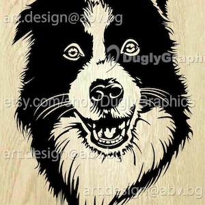 Vector DOG, Border Collie, AI, png, pdf, eps, svg, dxf, jpg Download, Digital image, graphical, animal, discount coupons