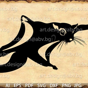 Vector FLYING SQUIRREL, stylized, AI, png, eps, pdf, svg, dxf, jpg, Instant Download, Digital image, graphical image