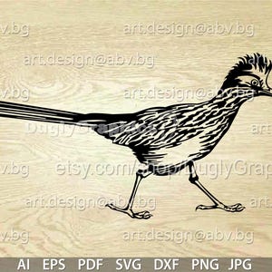 Vector Bird, AI, eps, pdf, SVG, dxf, png, jpg Descargar, Imagen digital, gráfico, Greater Roadrunner svg, cupones de descuento