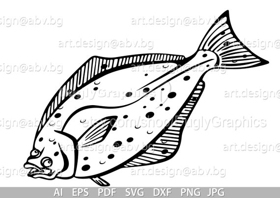 Vector HALIBUT Fish, AI, Eps, Pdf, Png, Svg, Dxf, Jpg Image Graphic Digital  Download Artwork, Bottom Fish, Graphical, Discount Coupons 