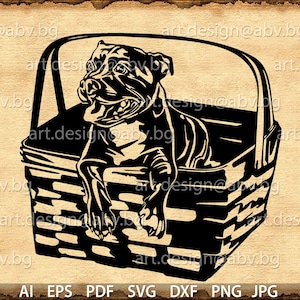 Vector DOG in basket, pittbull, SVG, DXF, ai, png, pdf, eps, jpg Download, Digital image, graphical, animal, discount coupons
