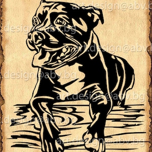 Vector DOG, pittbull, SVG, DXF, ai, png, pdf, eps, jpg Download, Digital image, graphical, animal, discount coupons