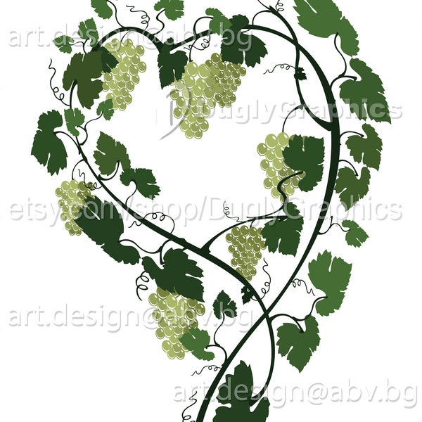 Vector GRAPE, vine, colored heart, AI, eps, pdf, svg, dxf, png, jpg Download