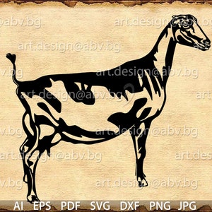 Vector LAMANCHA GOAT, AI, png, eps, pdf, svg, dxf, jpg Instant Download, graphical image Art Print, animal, Digital image