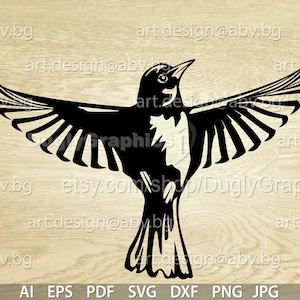 Vector BIRD Baltimore Oriole, ai, eps, pdf, svg, dxf, png, jpg Scarica, Immagine digitale