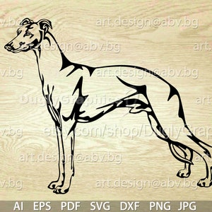 Vector DOG,  whippet, SVG, DXF, ai, png, pdf, eps, jpg Download, Digital image, graphical, animal, discount coupons