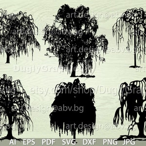 Weeping Willow Vector Bundle: Salix Babylonica Graphics (Digital Download)