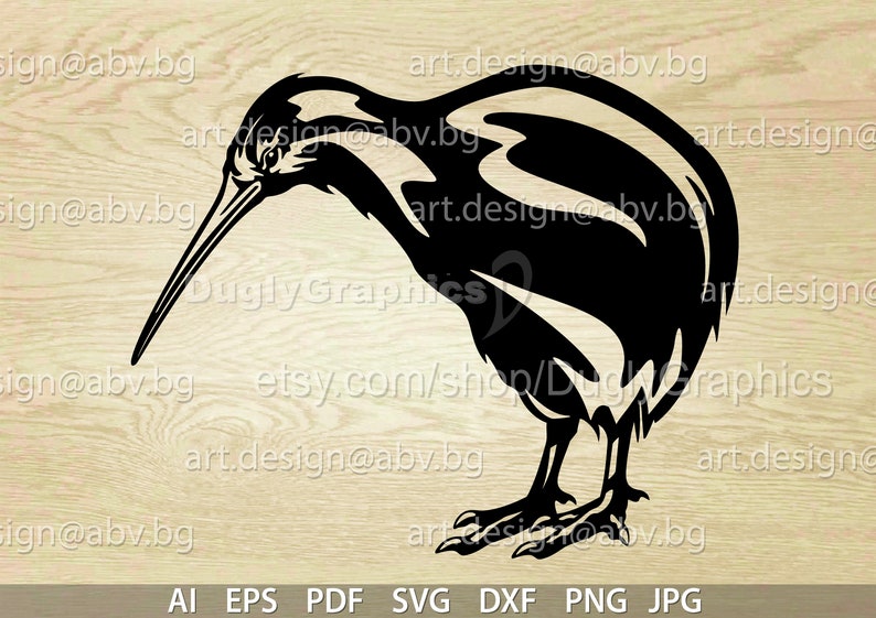 Vector KIWI bird, AI, PNG, eps, pdf, svg, dxf, jpg Download, wingless bird, graphical, animal, Apterygidae Wingless family image 1