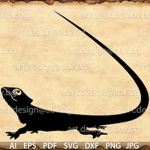 Vector LIZARD, GECKO, AI, eps, pdf, svg, dxf, png, jpg Download, Digital image, graphical, discount coupons