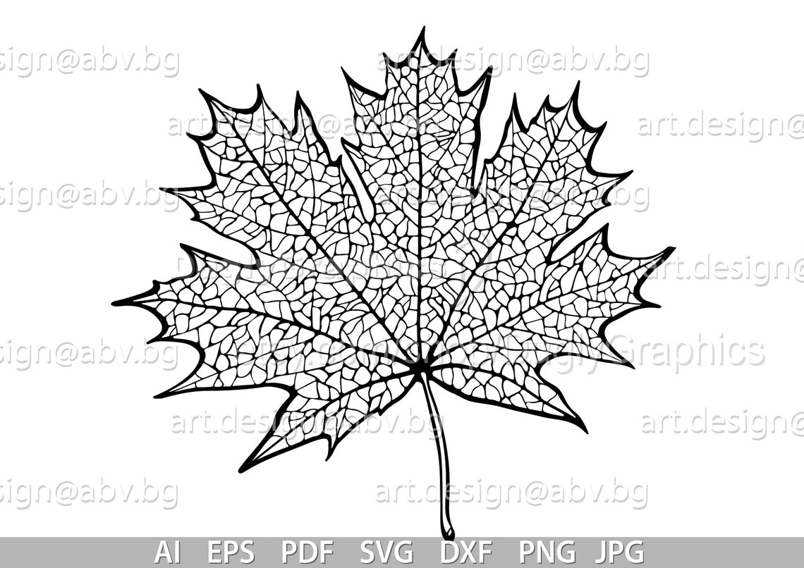 Vector LEAF Veins AI Eps Pdf SVG Dxf Png Jpg Download - Etsy