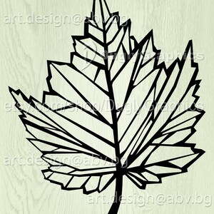 Vector LEAF, stylized, AI, eps, pdf, svg, dxf, png, jpg Download files, Digital, graphical, discount coupons